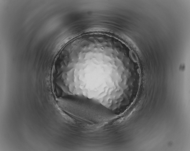 X0000091240937200708161733