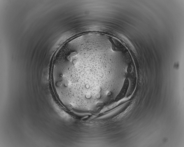X0000091240938200708161733