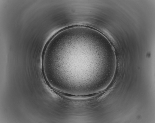X0000091240940200708161733