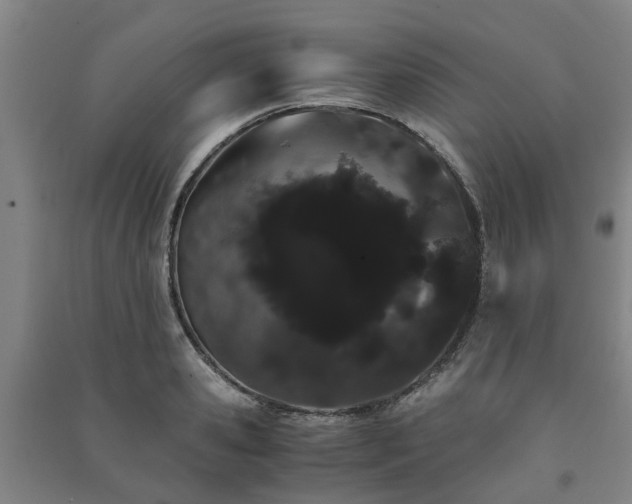 X0000091240941200708161733