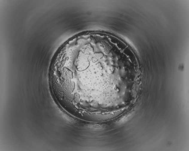 X0000091240943200708161733