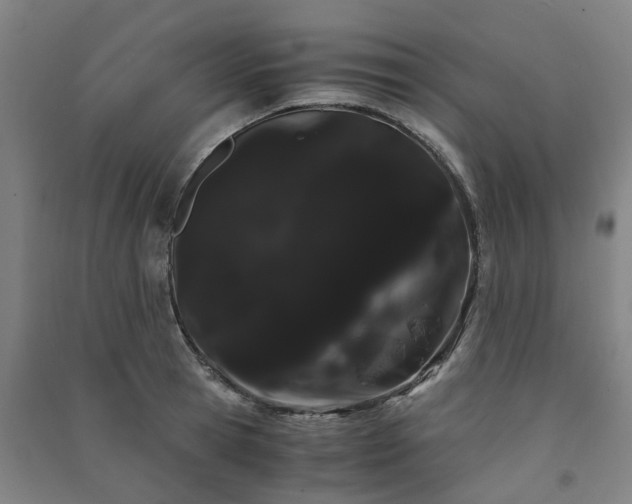 X0000091240945200708161733