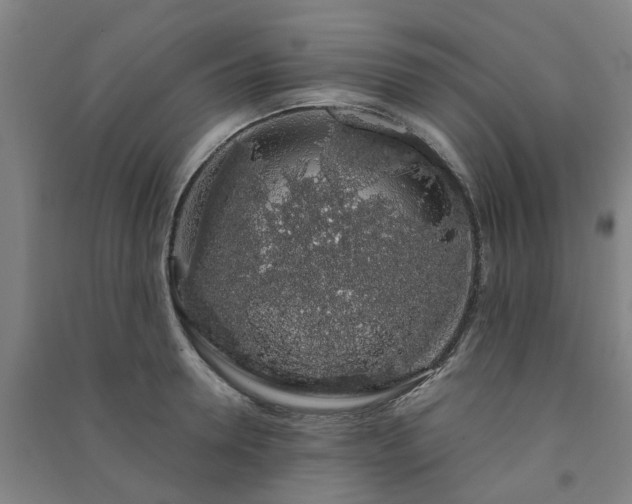 X0000091240946200708161733