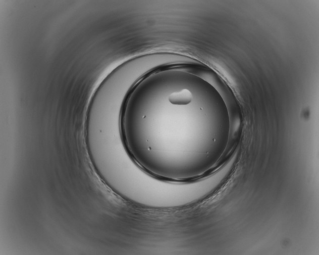 X0000091240948200708161733