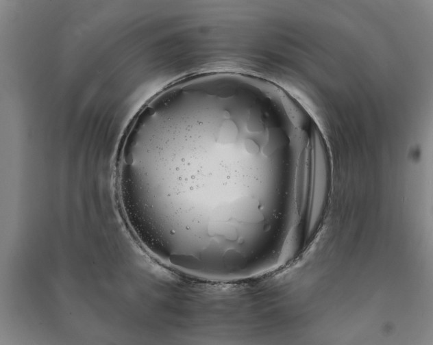 X0000091240949200708161733