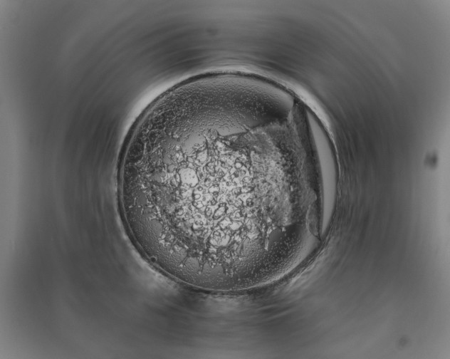 X0000091240951200708161733