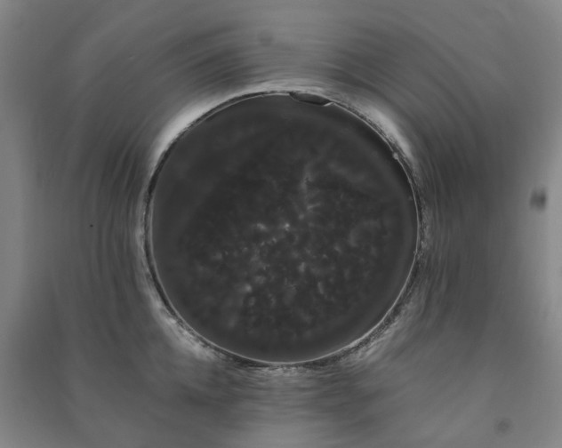 X0000091240952200708161733