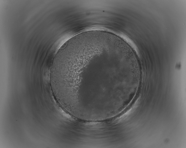 X0000091240953200708161733
