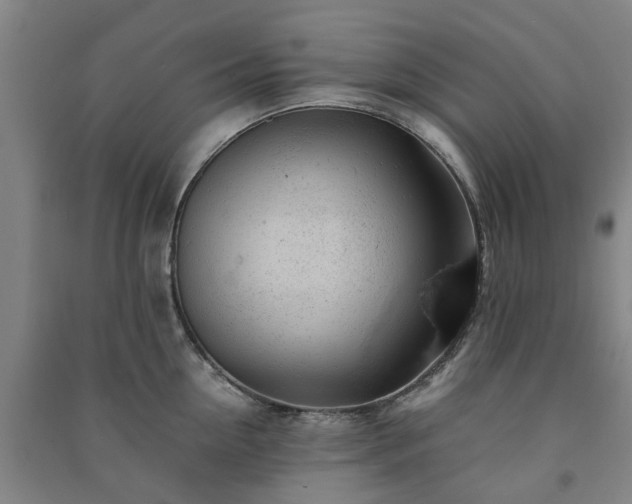 X0000091240954200708161733