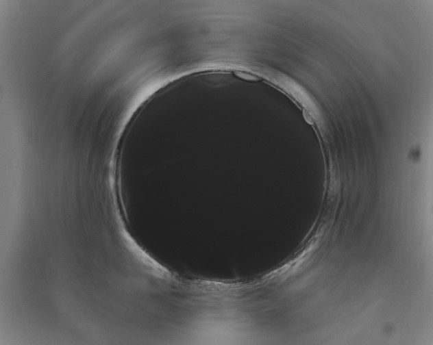 X0000091240958200708161733