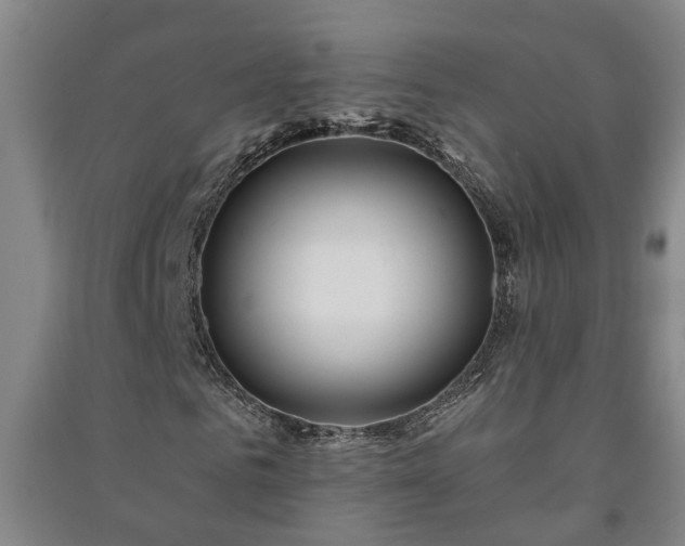 X0000091240961200708161733