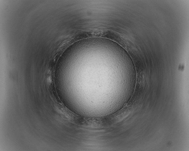 X0000091240962200708161733