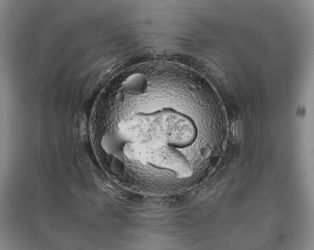 X0000091240963200708161733