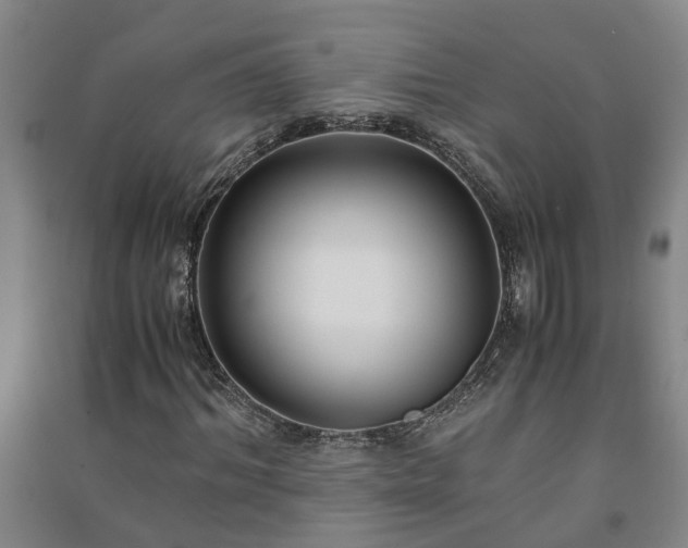 X0000091240964200708161733