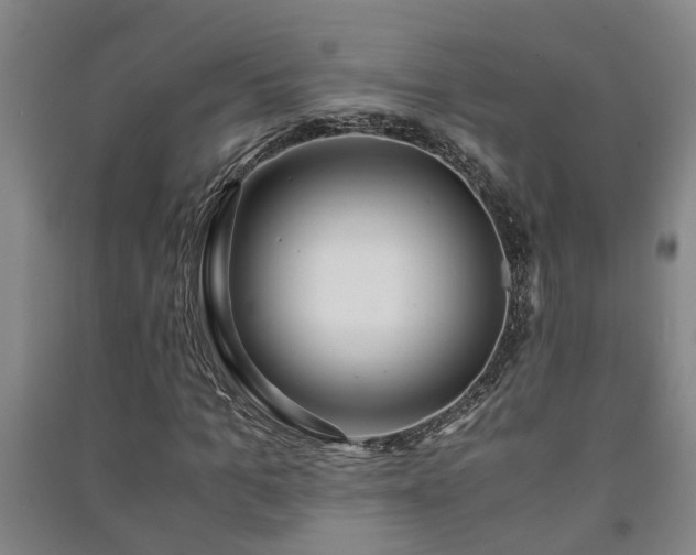X0000091240965200708161733