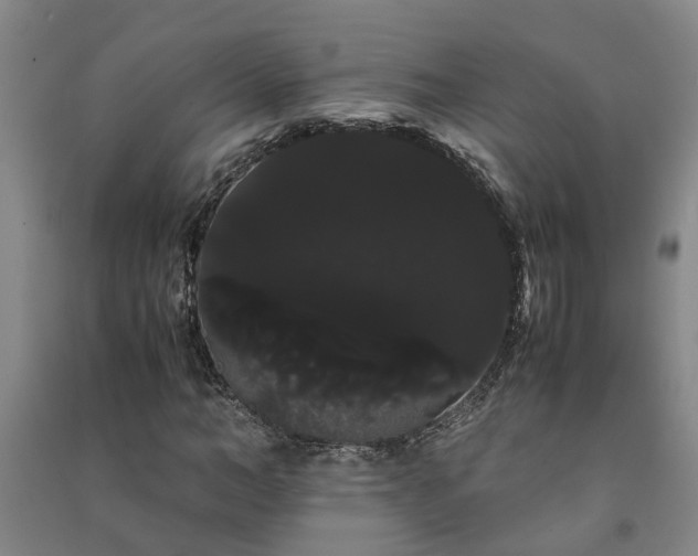 X0000091240966200708161733