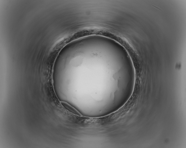 X0000091240967200708161733