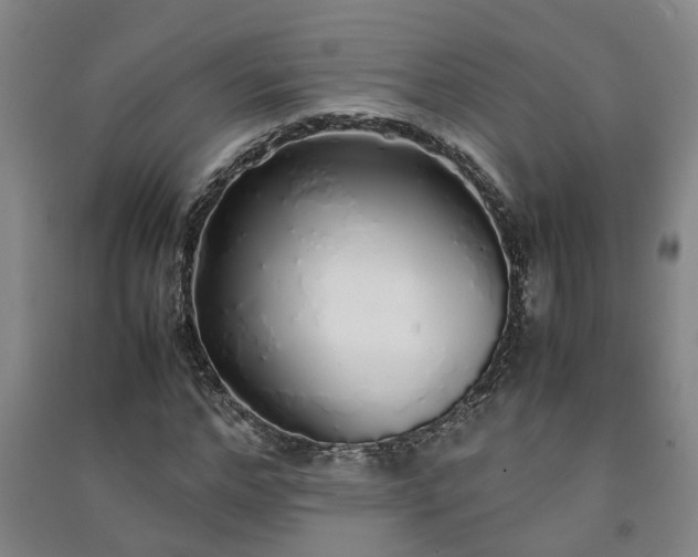 X0000091240968200708161733