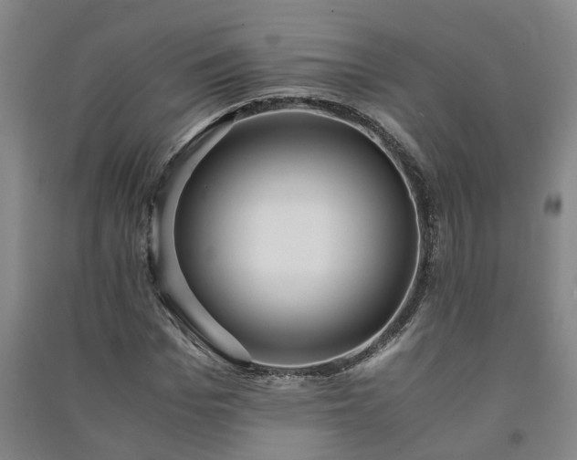 X0000091240969200708161733