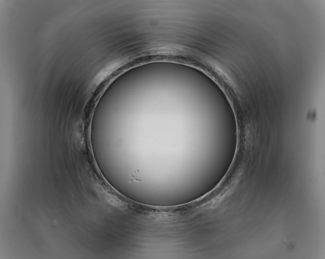 X0000091240970200708161733