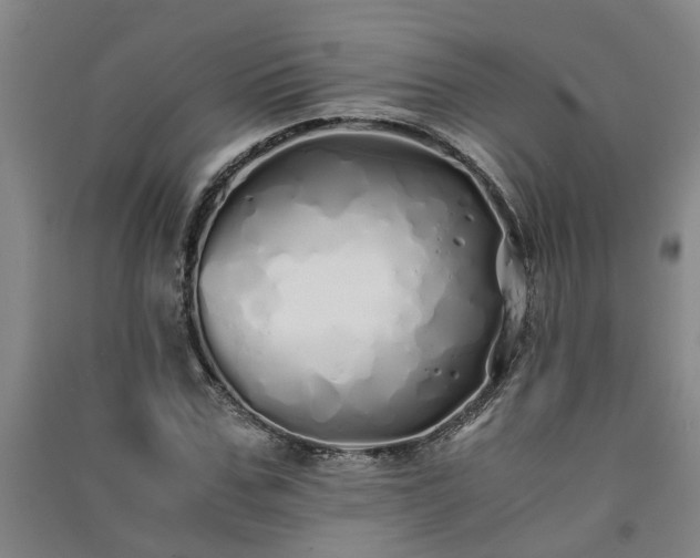 X0000091240971200708161733