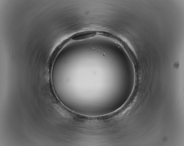 X0000091240973200708161733