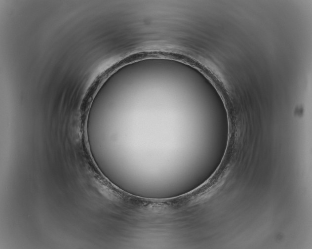 X0000091240974200708161733