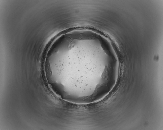 X0000091240975200708161733