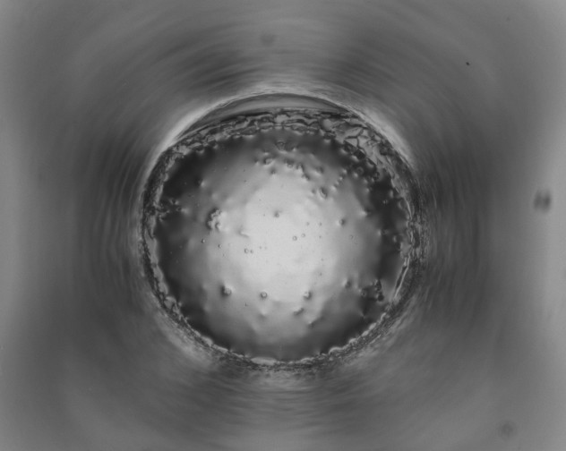X0000091240976200708161733