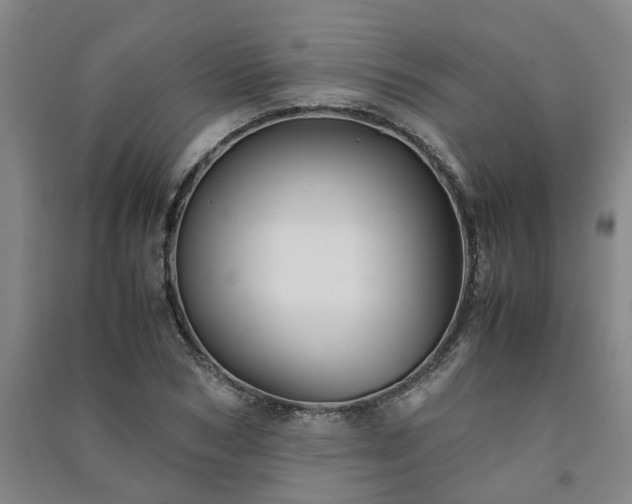 X0000091240978200708161733