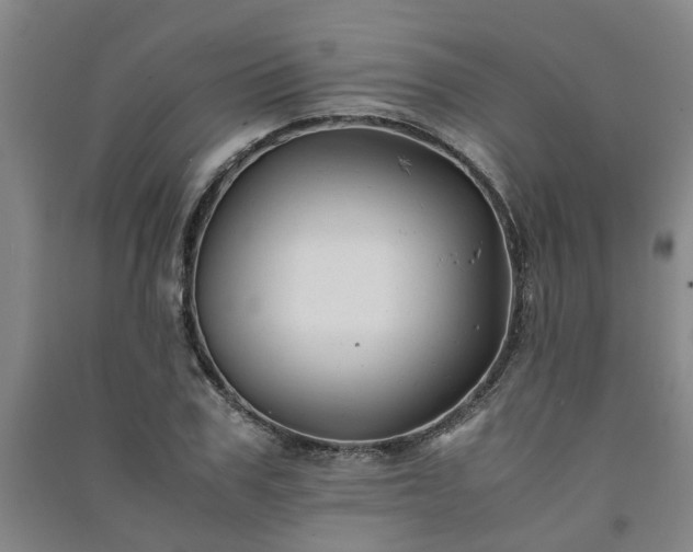 X0000091240979200708161733
