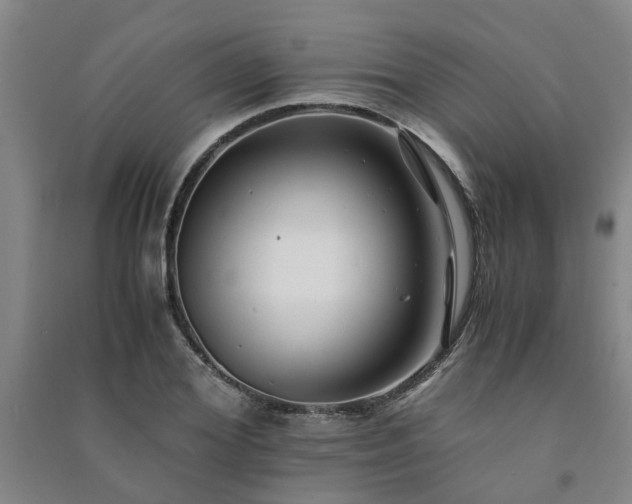 X0000091240980200708161733