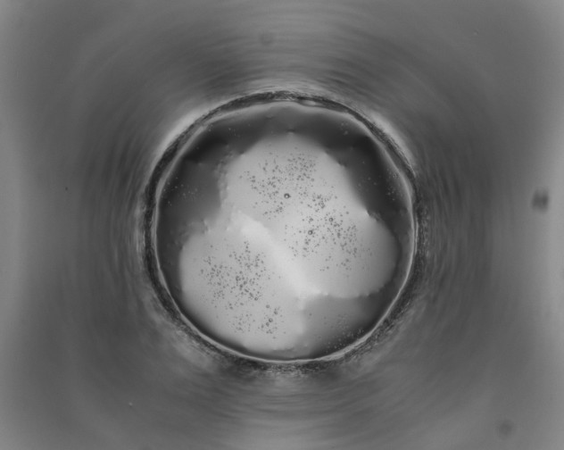 X0000091240983200708161733