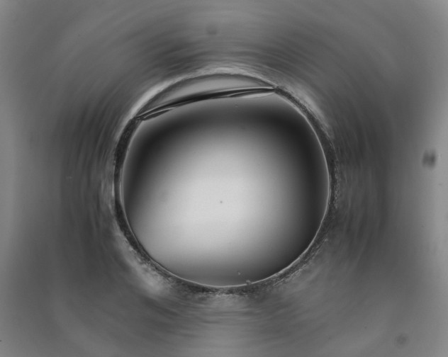 X0000091240984200708161733