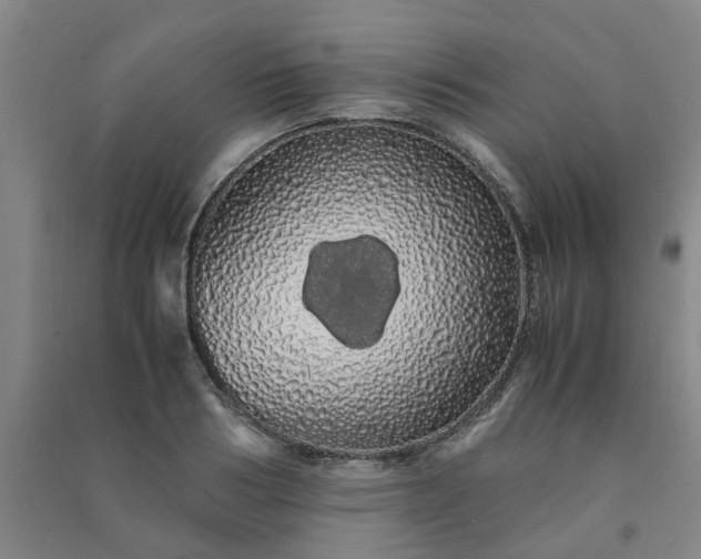 X0000091240986200708161733