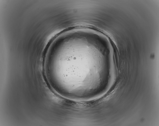 X0000091240987200708161732