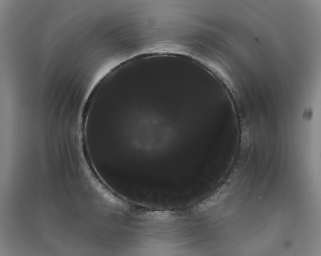X0000091240990200708161732