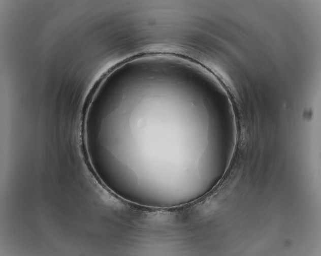 X0000091240992200708161732