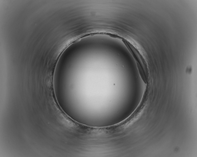 X0000091240993200708161732