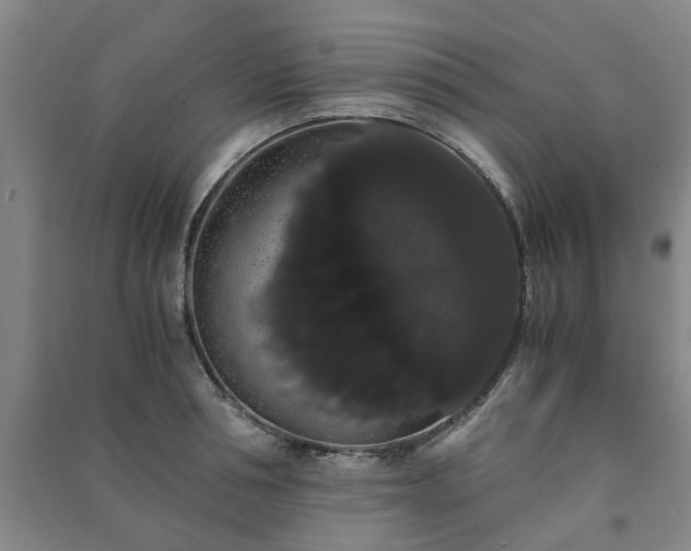 X0000091240994200708161732