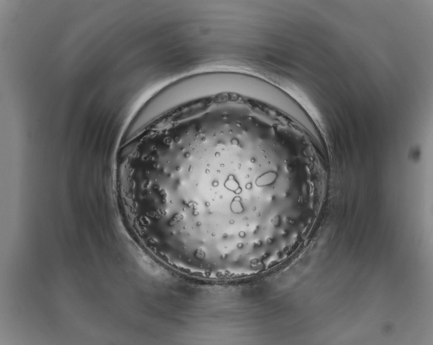 X0000091240996200708161732