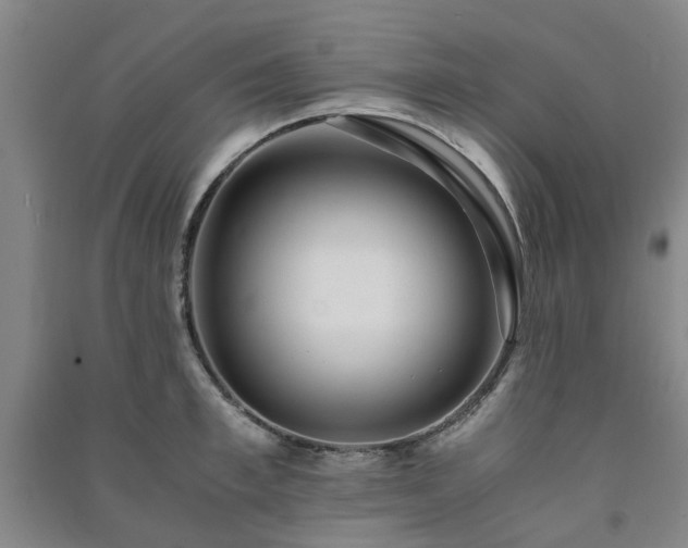 X0000091240997200708161732