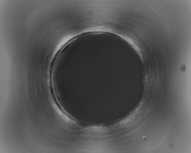 X0000091240998200708161732