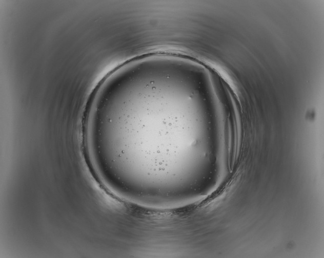 X0000091240999200708161732