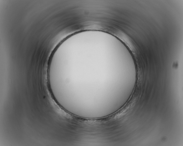 X0000091241000200708161732