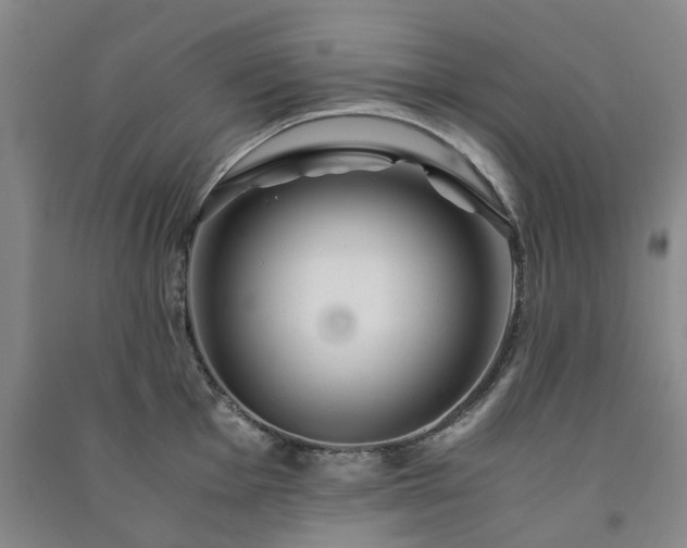 X0000091241001200708161732