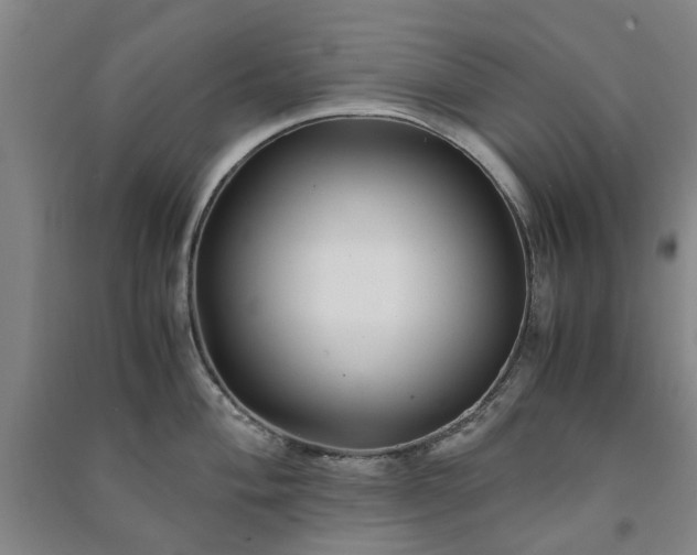 X0000091241004200708161732