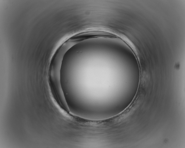 X0000091241005200708161732