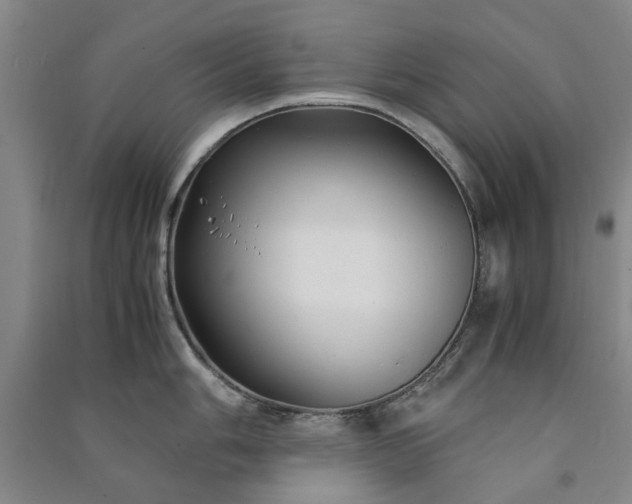 X0000091241006200708161732