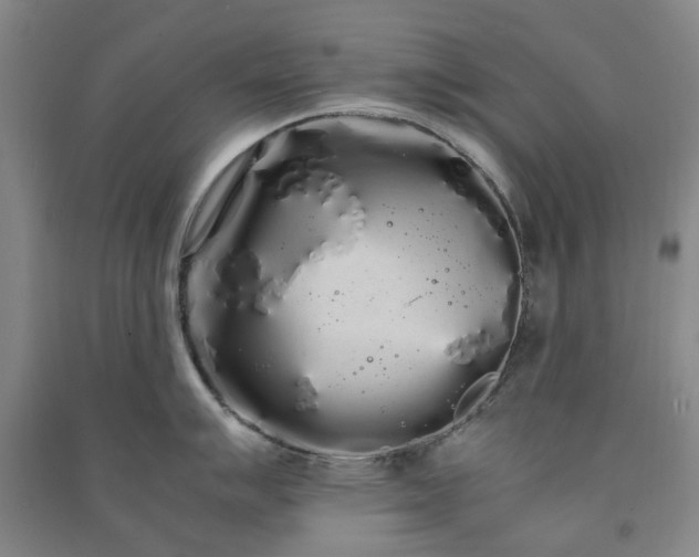 X0000091241007200708161732